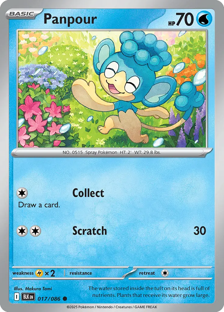 Panpour 017 - Black Bolt Pokesingles