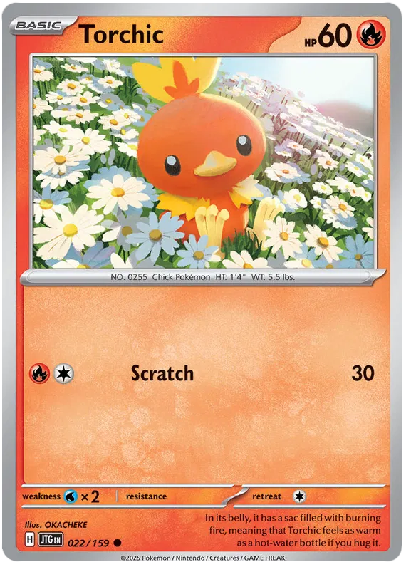 Torchic 022 - Journey Together Pokesingles