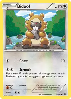 Bidoof 116 - Primal Clash Pokesingles