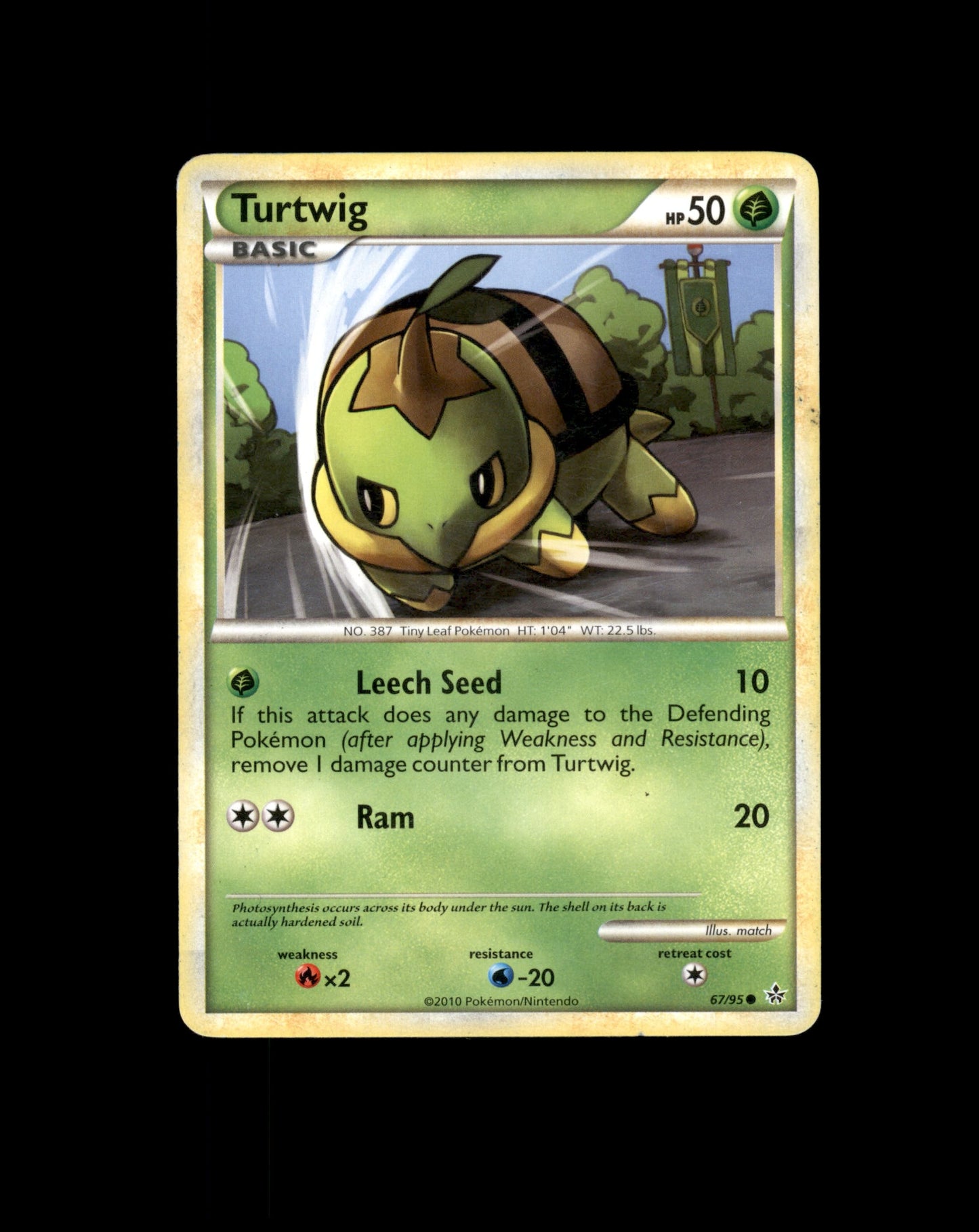*SE BILDE FOR TILSTAND* Turtwig #67 Pokemon Unleashed Pokesingles