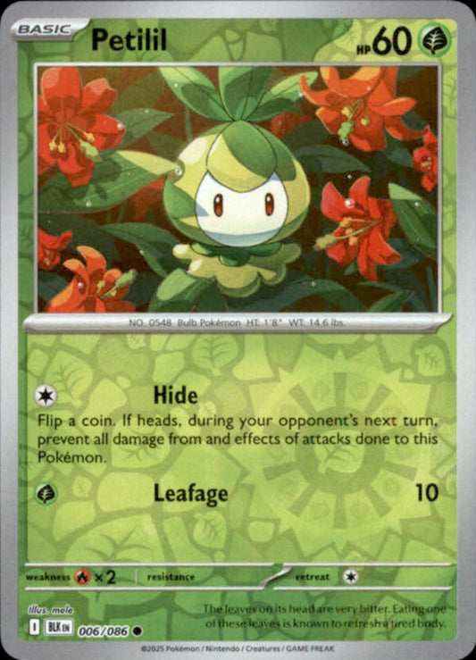 Petilil Reverse Holo 006 - Black Bolt Pokesingles