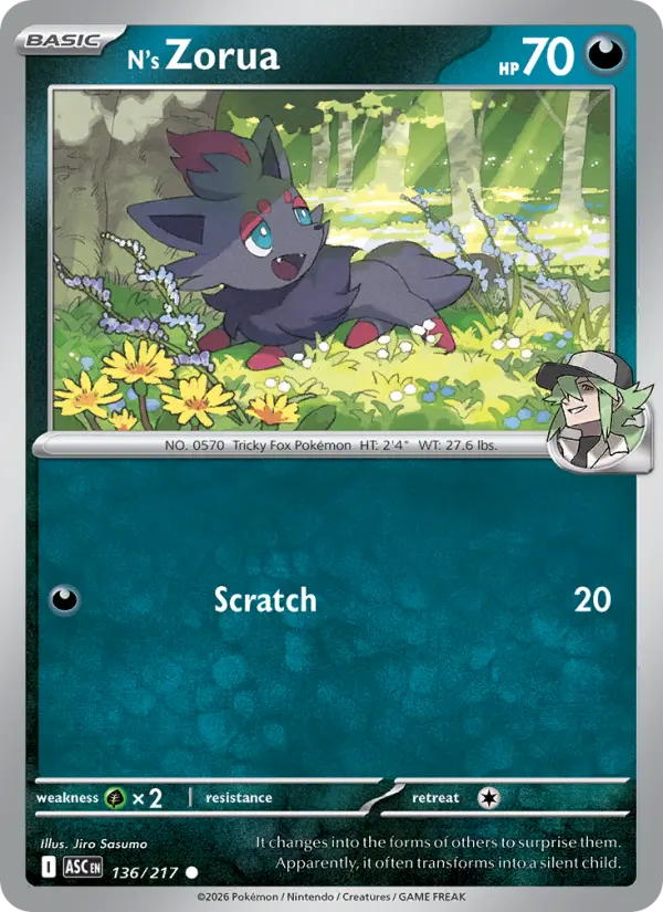 N's Zorua 136 Ascended Heroes Pokesingles