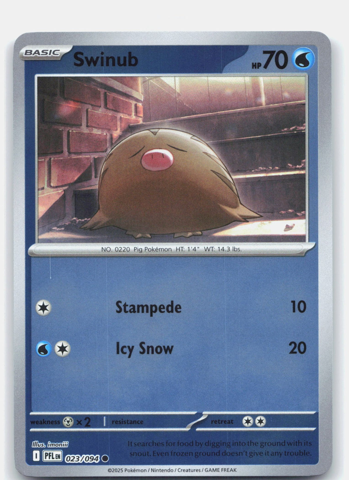 Swinub