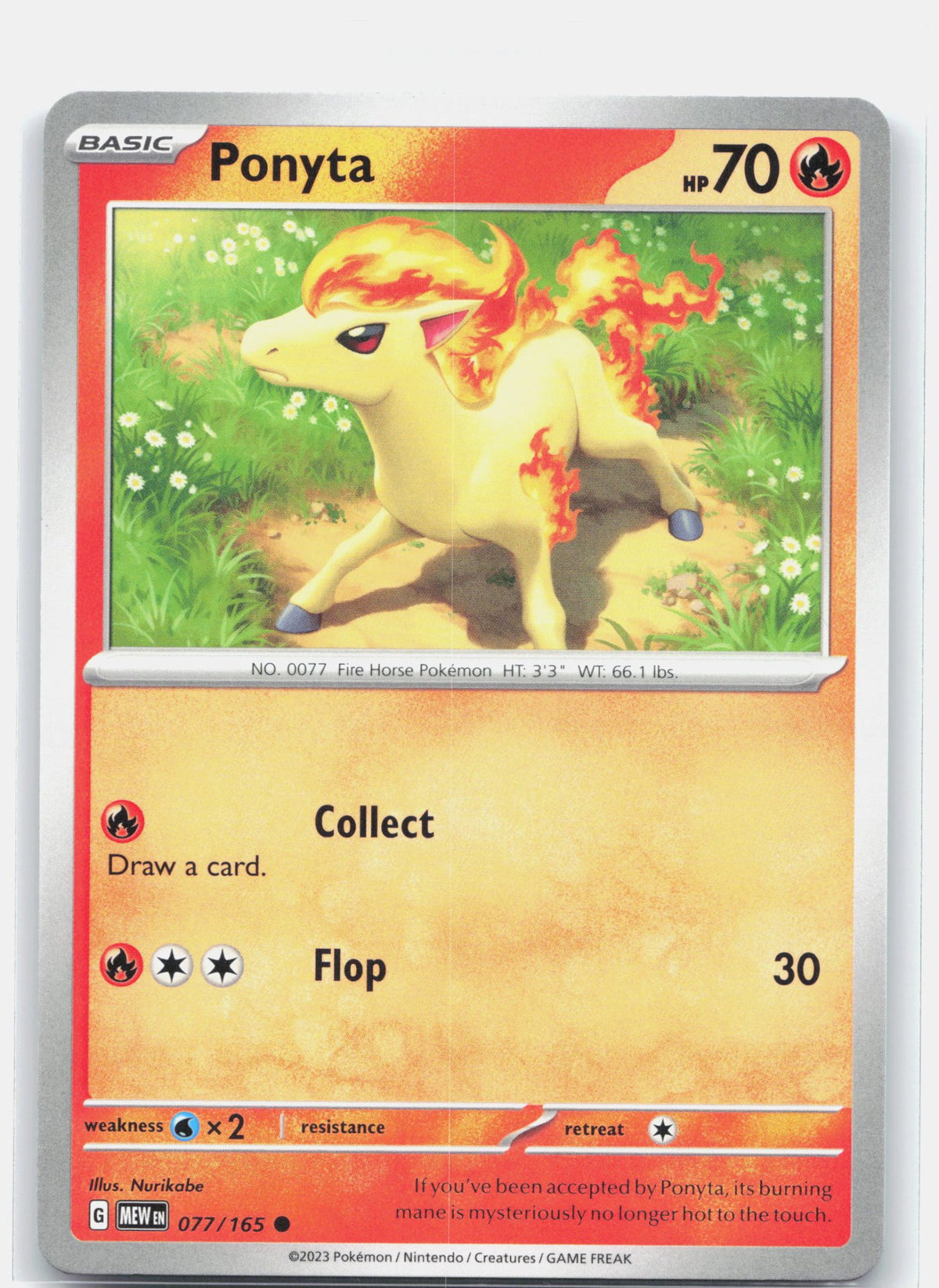 Ponyta