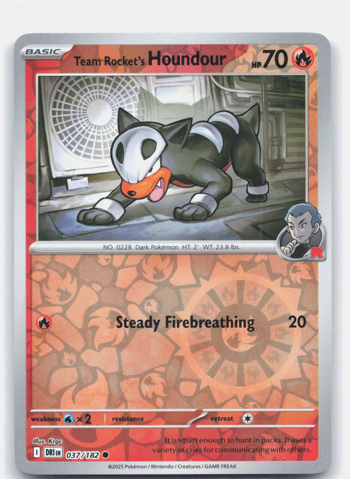 Team Rocket's Houndour