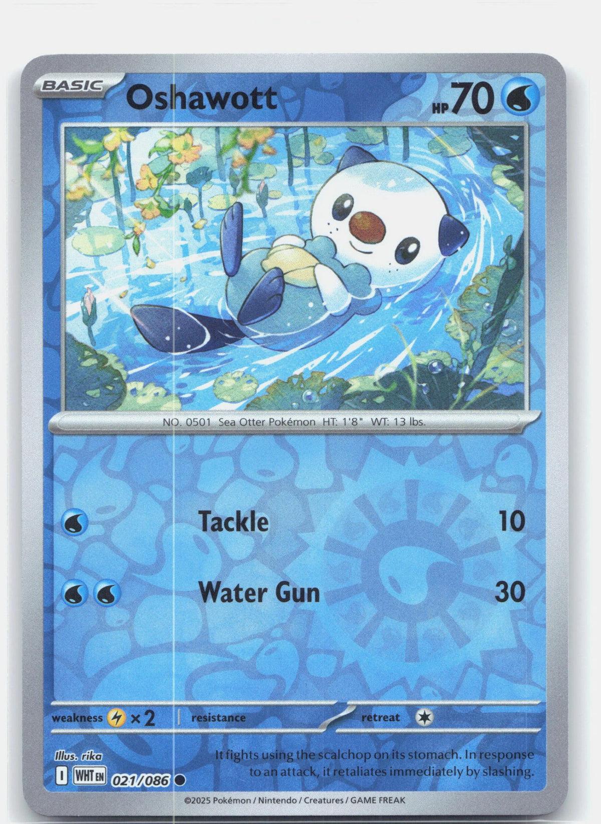 Oshawott | Near Mint