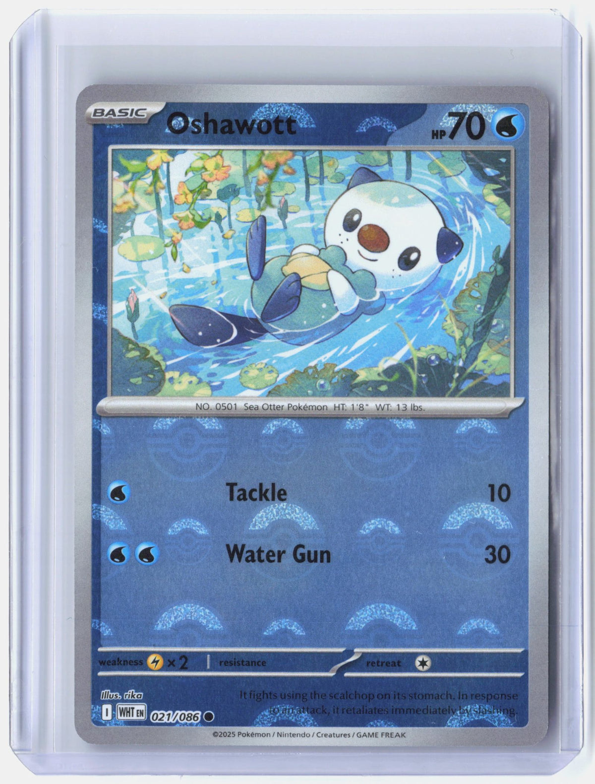 Oshawott (Poke Ball Pattern)