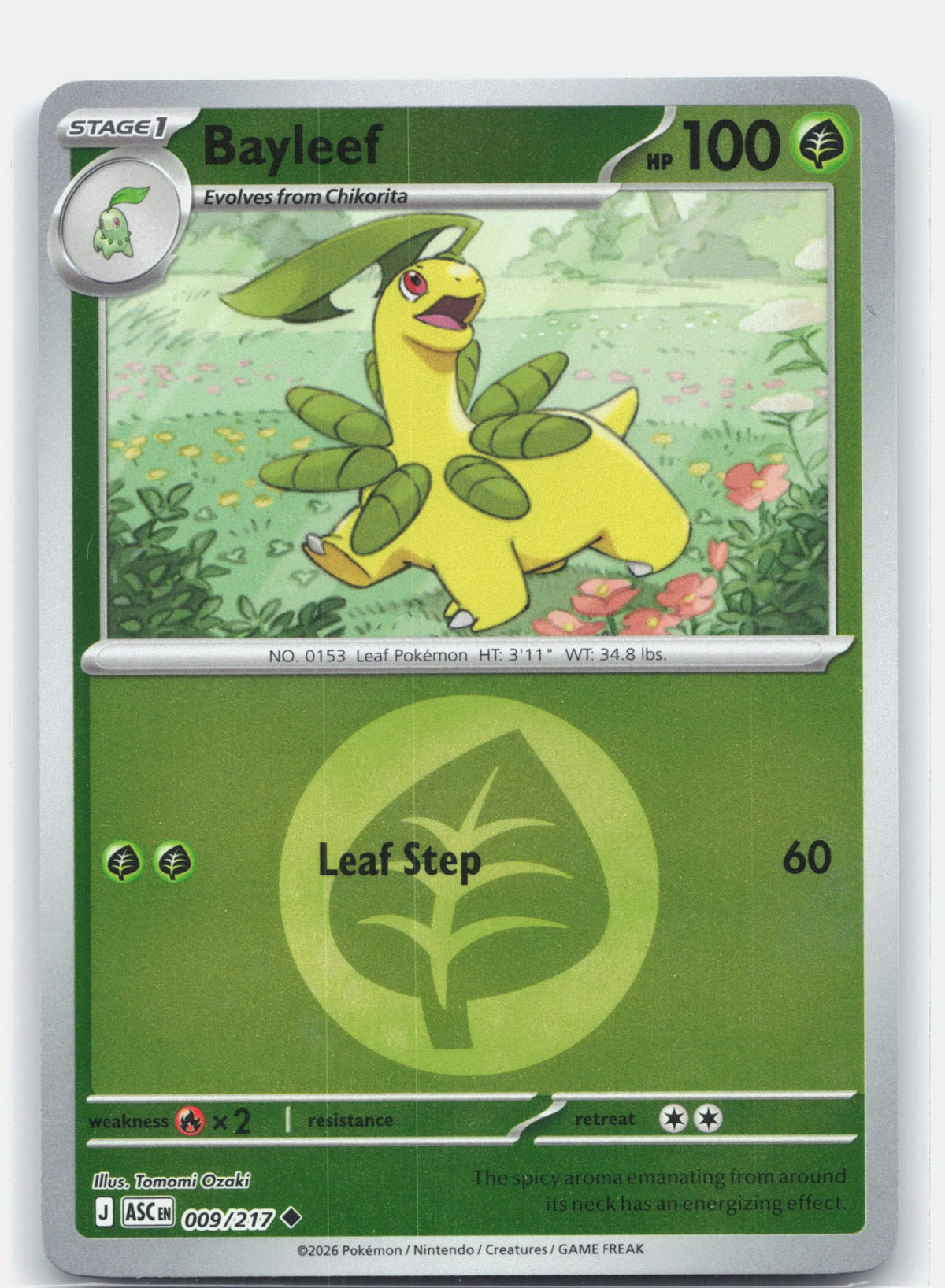 Bayleef (Energy Symbol Pattern)
