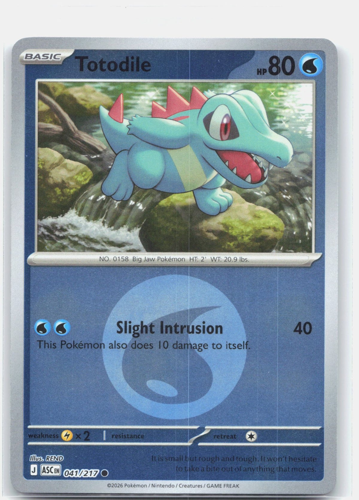 Totodile (Energy Symbol Pattern)