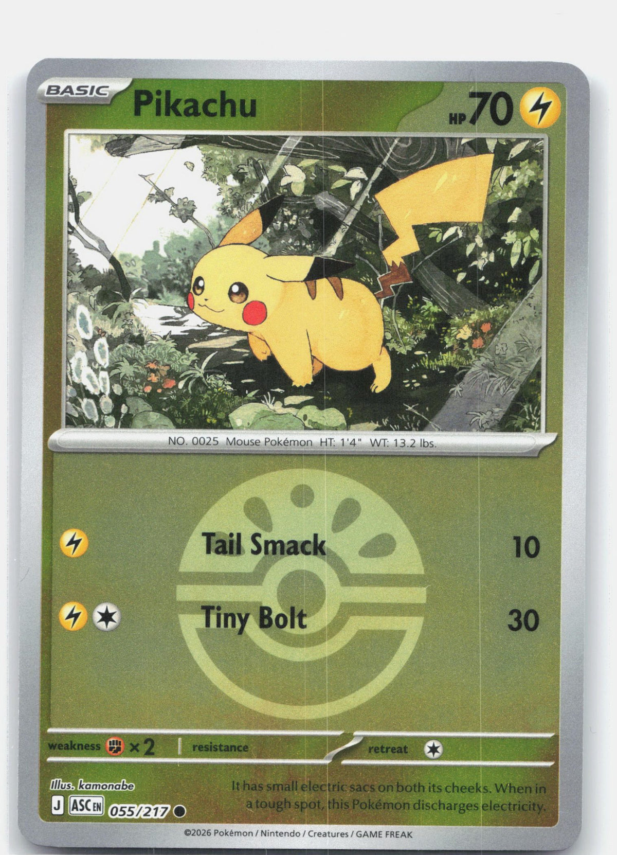 Pikachu (Friend Ball)