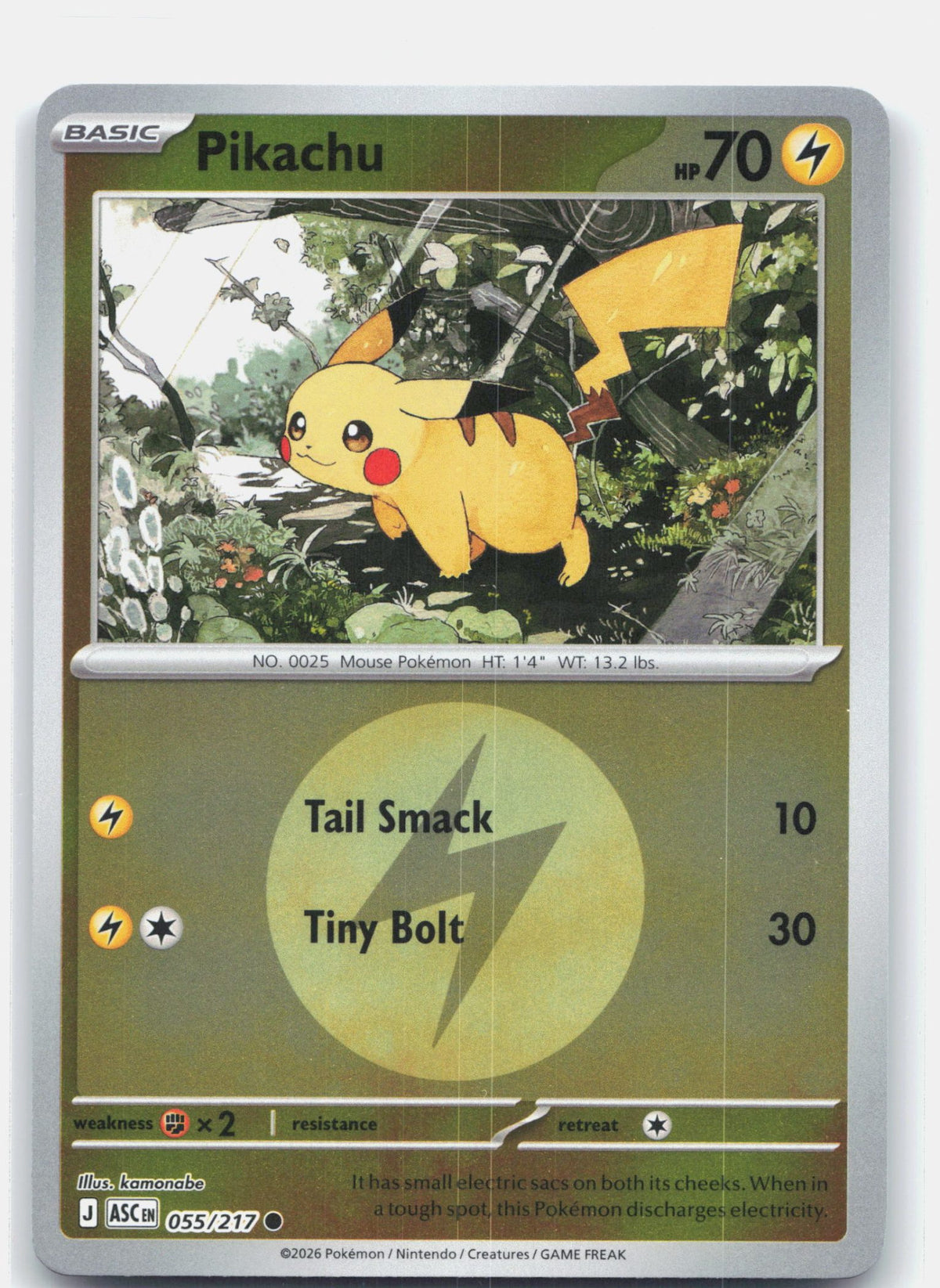 Pikachu (Energy Symbol Pattern)