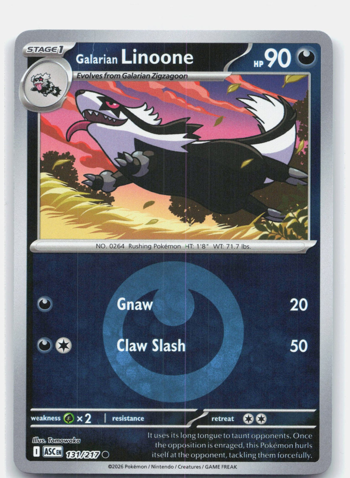 Galarian Linoone (Energy Symbol Pattern)