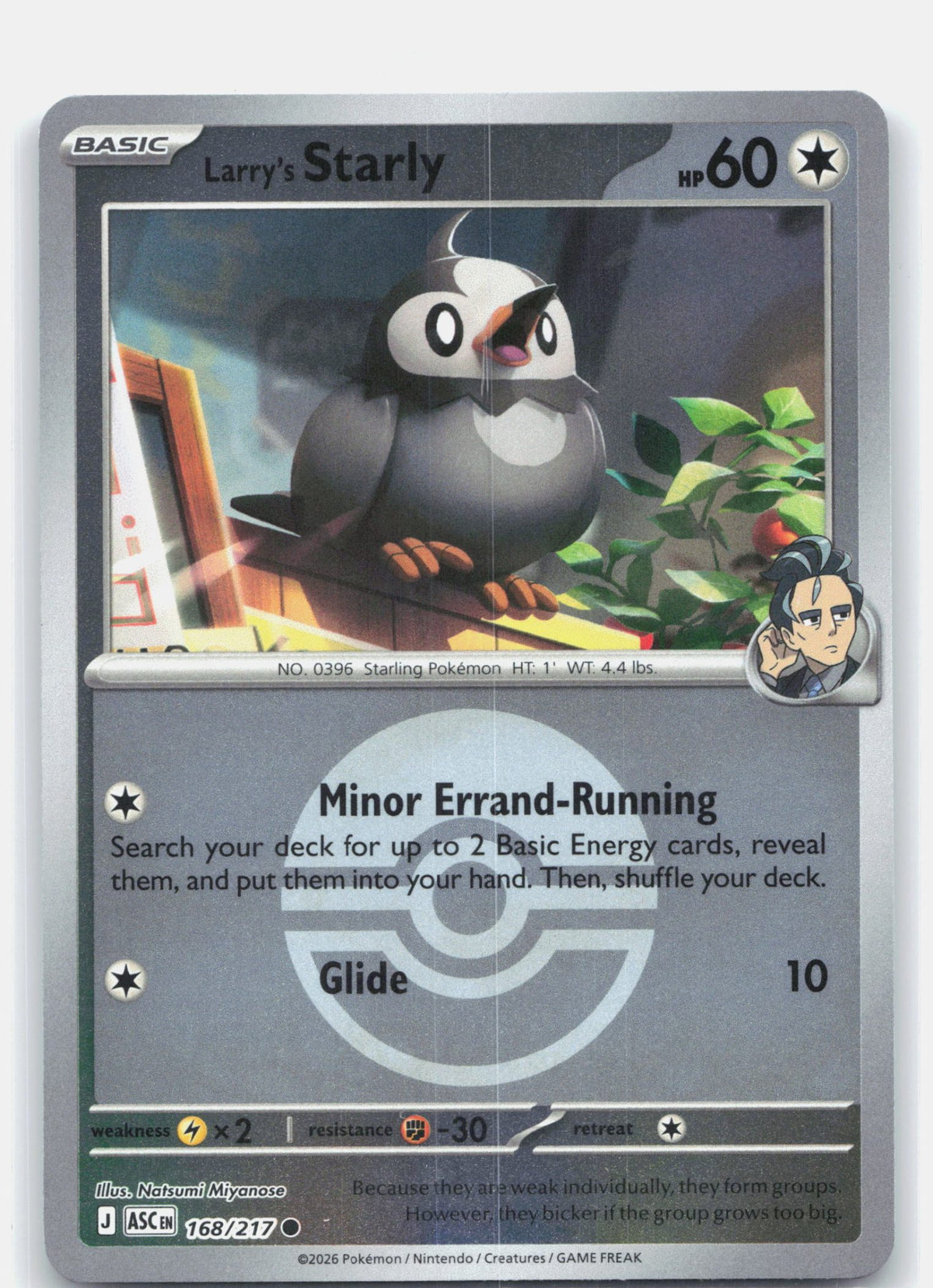 Larry's Starly (Poke Ball)