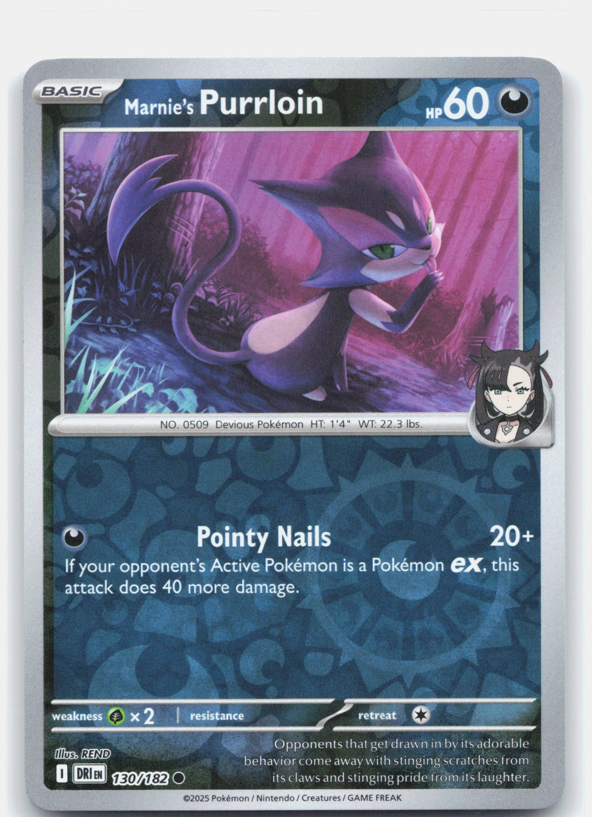 Marnie's Purrloin