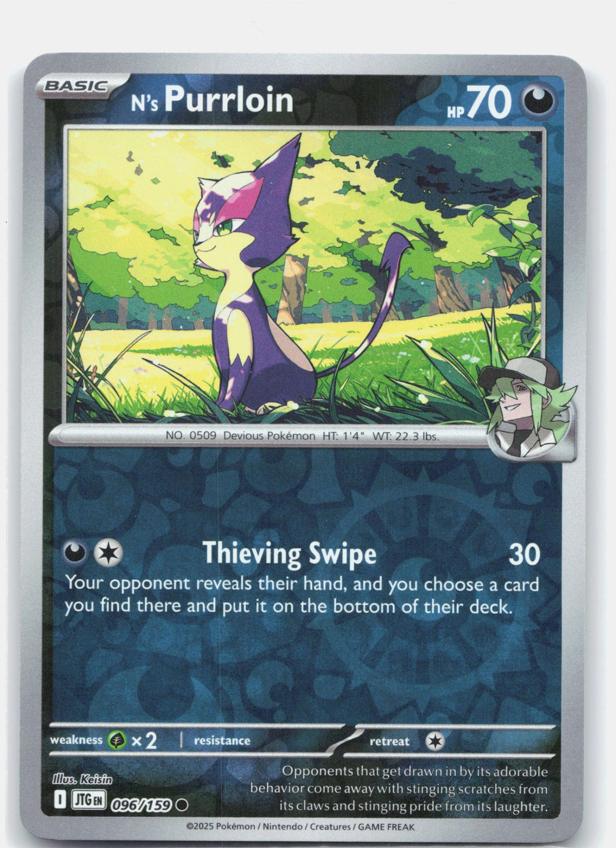 N's Purrloin