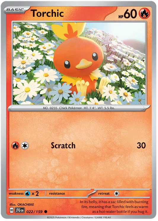 Torchic 022 - Journey Together Pokesingles