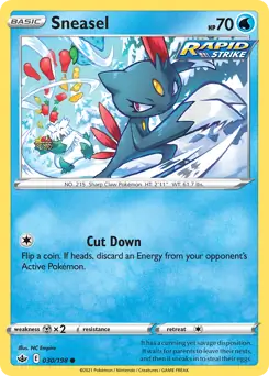 Sneasel 030