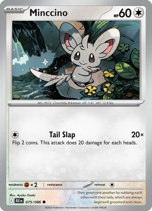 Minccino 075 - Black Bolt Pokesingles