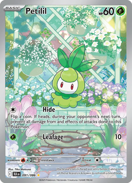 Petilil 091 - Black Bolt Pokesingles