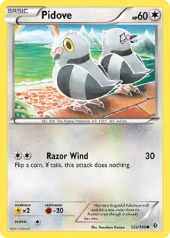 Pidove 123 - Boundaries Crossed Pokesingles