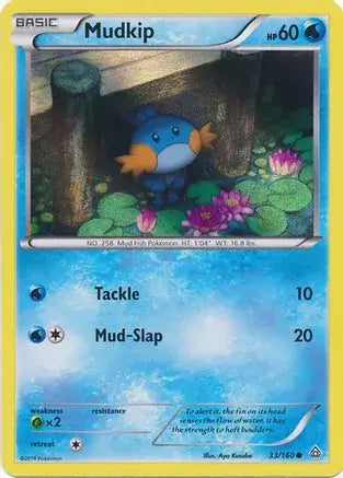 Mudkip Promo 33 - Miscellaneous Promos Pokesingles