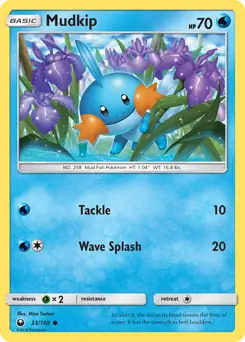 Mudkip 33 - Celestial Storm Pokesingles