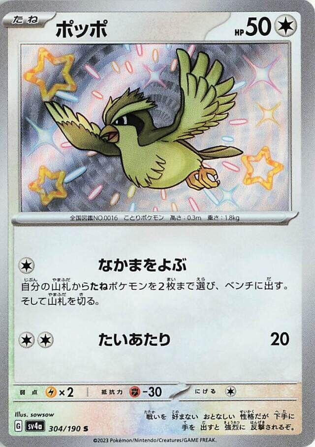 Pidgey - 304/190