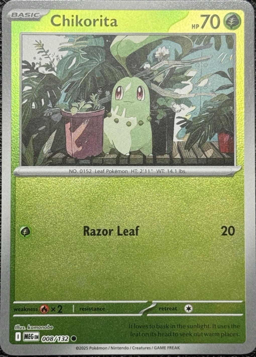 Chikorita 008 (Reverse Holofoil) - ME01: Mega Evolution