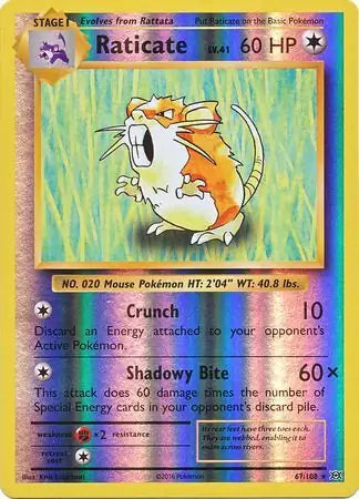 Raticate Reverse Holo 67 - Evolutions Pokesingles