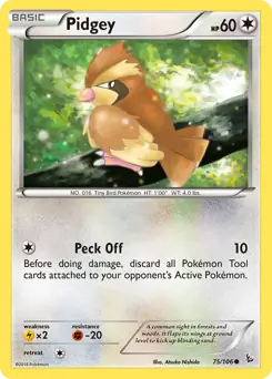 Pidgey 75 - Flashfire Pokesingles