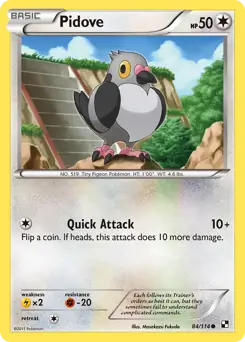 Pidove 84 - Black and White Base Pokesingles