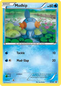 Mudkip XY38 - XY Black Star Promos Pokesingles