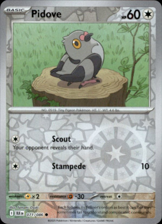 Pidove Reverse Holo 071 - Black Bolt Pokesingles