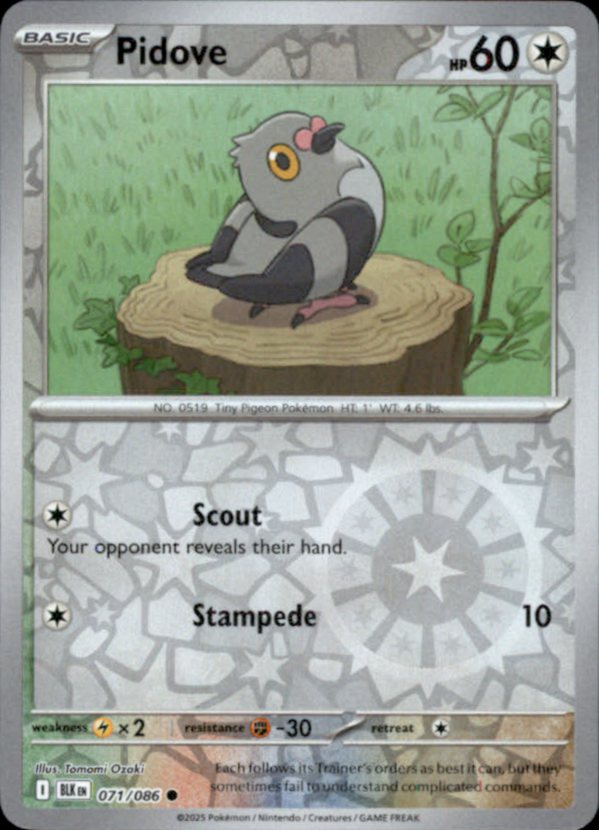 Pidove Reverse Holo 071 - Black Bolt Pokesingles