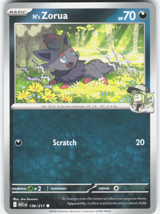 N's Zorua 136 - Ascended Heroes