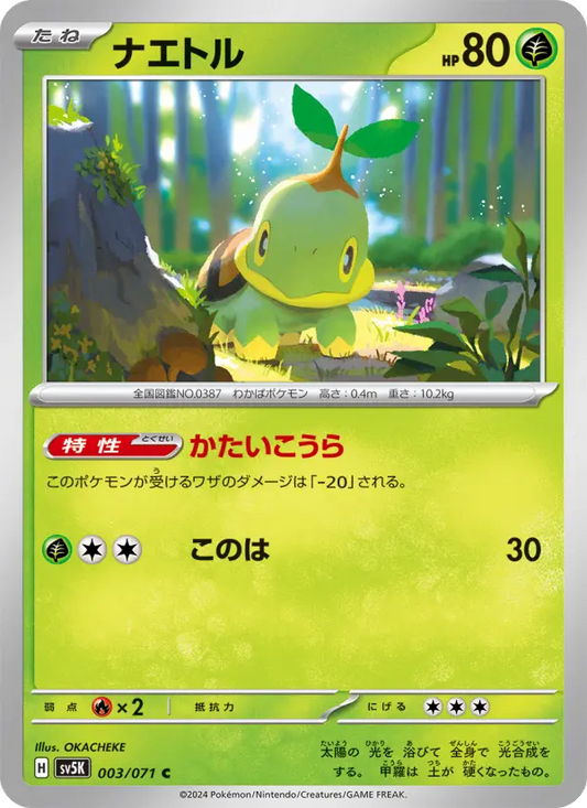 Turtwig 3 Wild Force Pokesingles