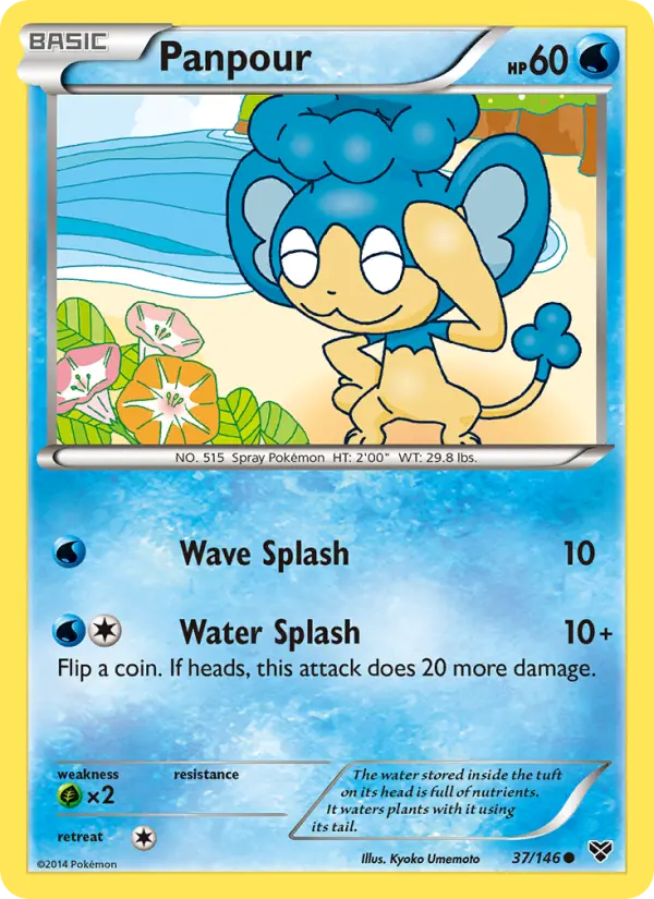 Panpour 37 XY Pokesingles