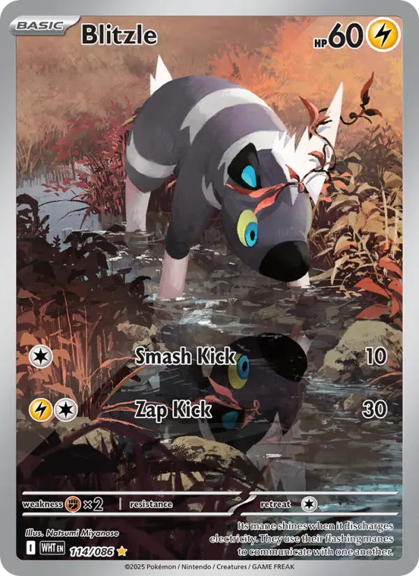Blitzle 114 White Flare Pokesingles
