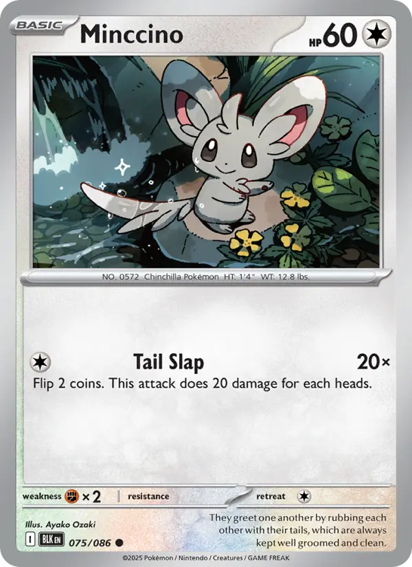 Minccino 75 Black Bolt Pokesingles