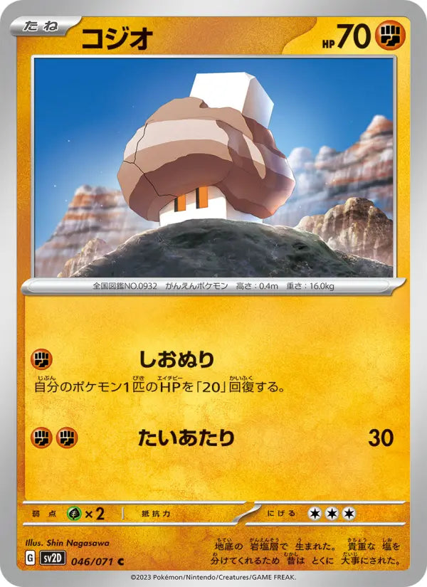 Nacli 46 Snow Hazard Pokesingles