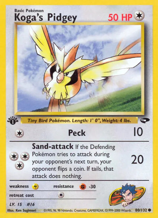 Koga's Pidgey 80 Gym Challenge Pokesingles