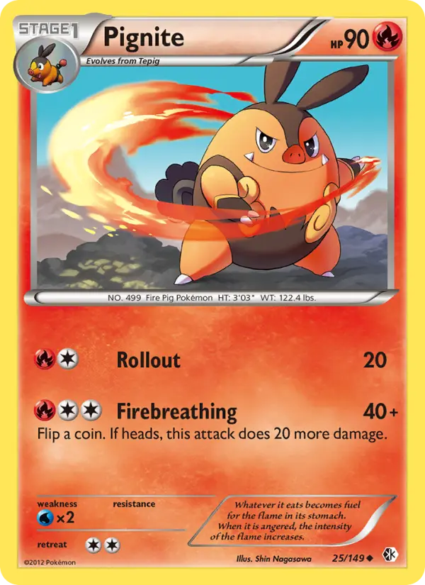 Pignite 25 Boundaries Crossed Pokesingles