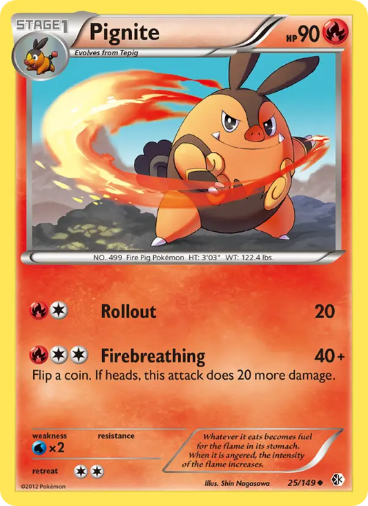 Pignite 25 Boundaries Crossed Pokesingles