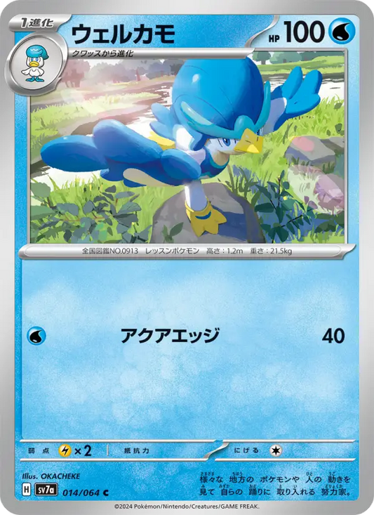 Quaxwell 14 Paradise Dragona Pokesingles