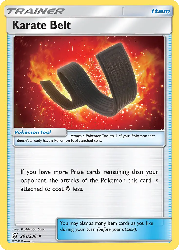 Karate Belt 201 Unified Minds Pokesingles