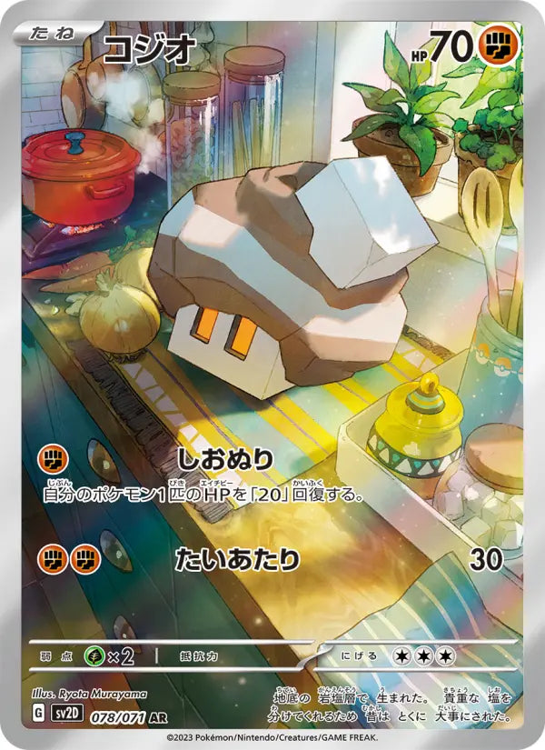 Nacli 78 Snow Hazard Pokesingles
