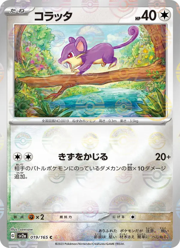 Rattata 19 Pokémon Card 151 Pokesingles