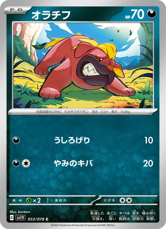 Maschiff 53 Violet ex Pokesingles