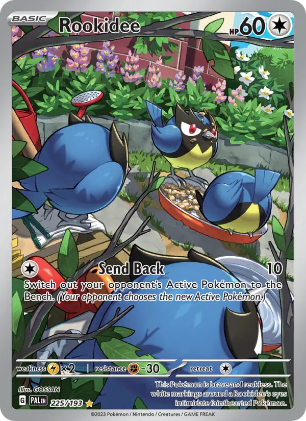 Rookidee 225 Paldea Evolved Pokesingles