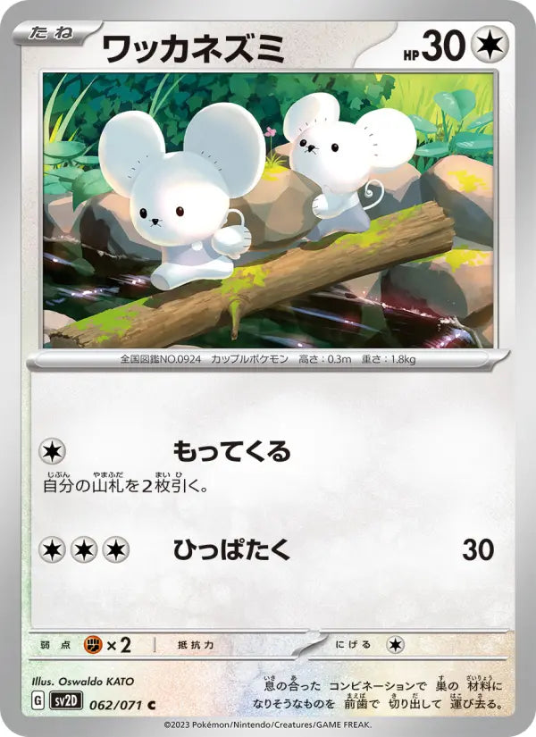 Tandemaus 62 Snow Hazard Pokesingles